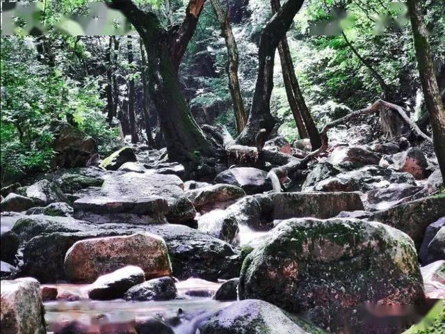 美人鱼游玩